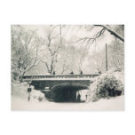 central park winter postcard