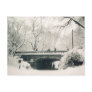 central park winter postcard
