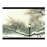 central park winter tree post cards