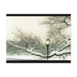 central park winter tree post cards