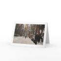 CENTRAL PARK ZOO IN THE SNOW cards