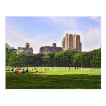 Central Park's Sheep Meadow Postcards