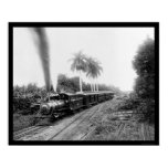 transportation, photo, photograph, photography,