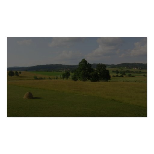 Central Serbian Farms Business Card Template (back side)
