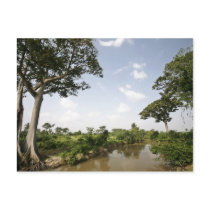 Central Togo, West Africa. Postcard