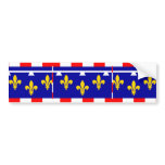 Centre, France flag Bumper Sticker