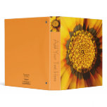Centre of the Sun binders