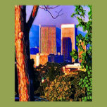 Century City Sunset