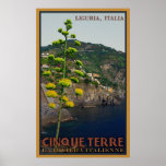 Century Plant on the Lower Cinque Terre trail Posters