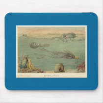 Cephalopoda mousepads