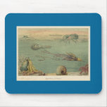 Cephalopoda Mouse Pad