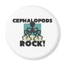 Cephalopods Rock magnets