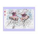 Cephea Jellyfish Postcard by plasticpumpkin Cephea Jellyfish Postcard