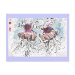 Cephea Jellyfish Postcard