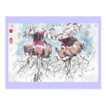 Cephea Jellyfish Postcard