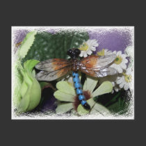 ceramic dragonfly postcards
