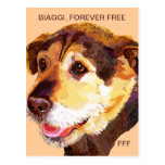 Cercas de Biaggi para Fido Postales