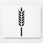 cereal wheat spike