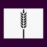 cereal wheat spike