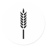 cereal wheat spike