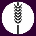 cereal wheat spike