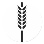 cereal wheat spike