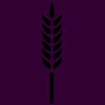 cereal wheat spike