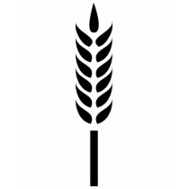 cereal wheat spike t-shirts