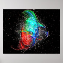 Cerebellum posters