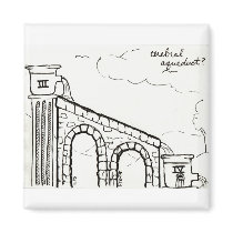 Cerebral Aqueduct magnet