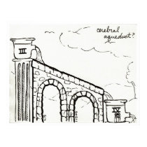 Cerebral Aqueduct print by bio_muse Cerebral Aqueduct print