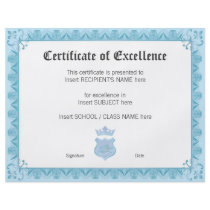 CERTIFICATE OF EXCELLENCE FLYER