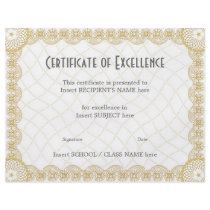 CERTIFICATE OF EXCELLENCE CUSTOM FLYER