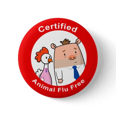 Certified Animal Flu Free Pinback button