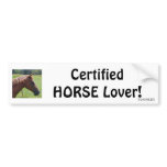 Certified HORSE Lover! Bumper Sticker bumper stickers