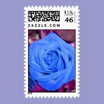 Cerulean Blue Rose Postage stamps