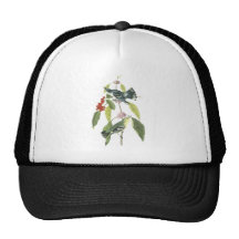 Cerulean Warbler, John Audubon Mesh Hats
