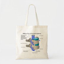 Cervical Vertebra of the Human Spinal Column Canvas Bag