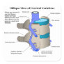 Cervical Vertebra of the Human Spinal Column Square Stickers