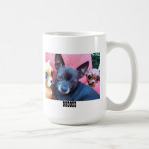 César la taza de la chihuahua