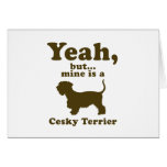 Cesky Terrier
