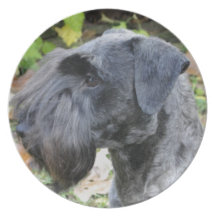 Cesky Terrier Plate
