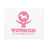 Cesky Terrier