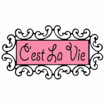 C'est La Vie ~ Acrylic  Photo Sculpture