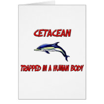 Cetacean trapped in a human body cards