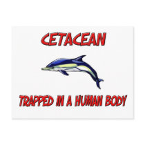 Cetacean trapped in a human body postcards