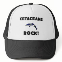 Cetaceans Rock hats