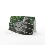 CF- Black Buzzard Thinking of YOu Card
