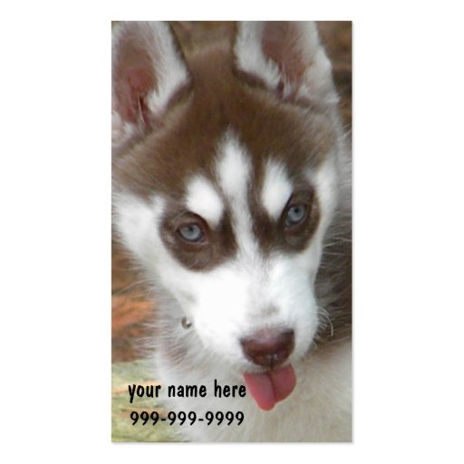 CF- Siberian Husky Puppy Business Cards