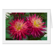 CFard, "Dahlia # 153" Greeting Card